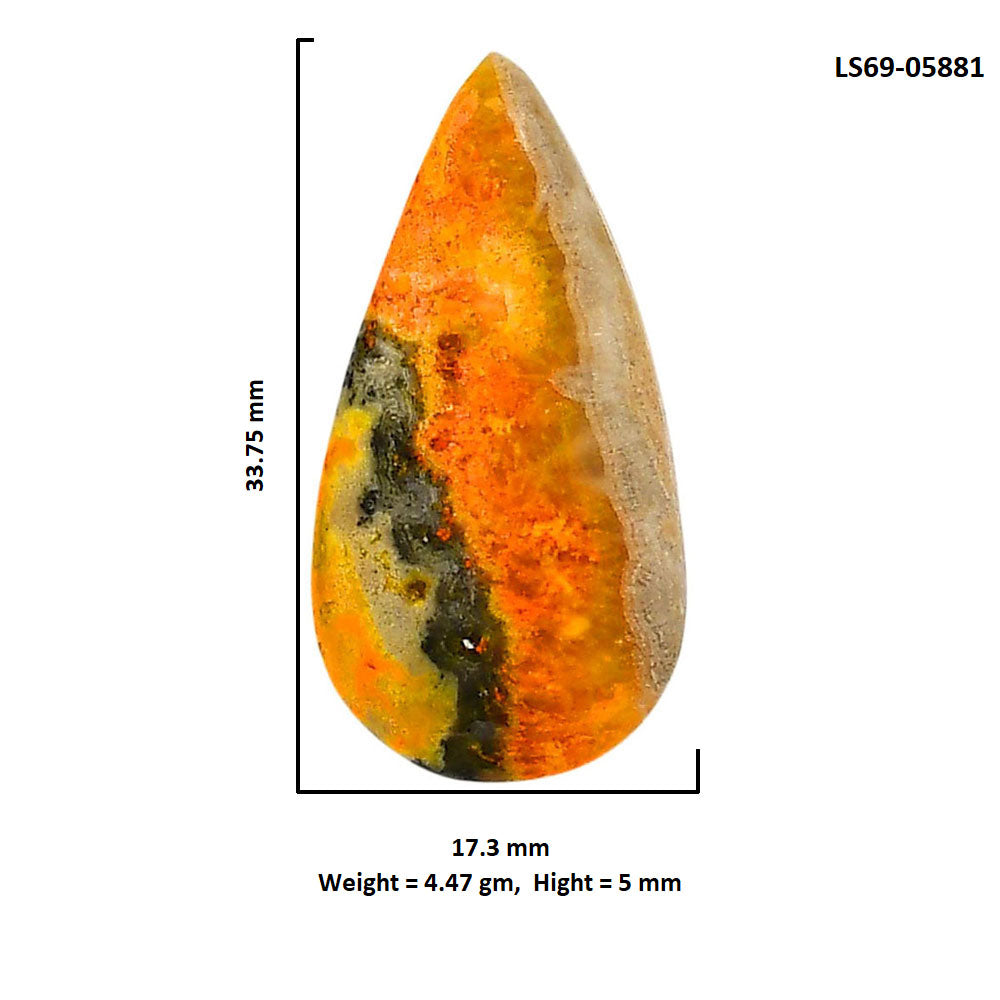 Indonesian Bumble Bee 17.3x33.75x5 mm Pear Shape Polished Gemstone LS69-05881