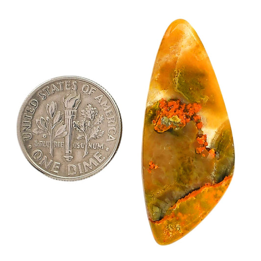 Indonesian Bumble Bee 16x38.2x5.4 mm Fancy Shape Polished Gemstone LS69-05882