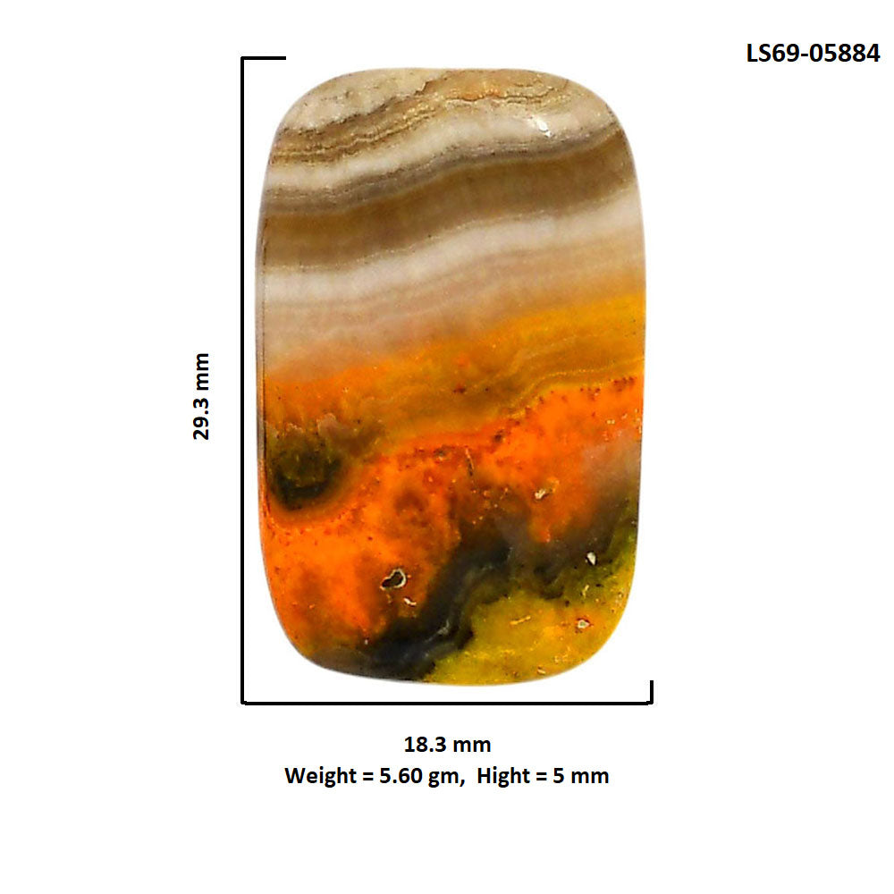 Indonesian Bumble Bee 18.3x29.3x5 mm Cushion Shape Polished Gemstone LS69-05884