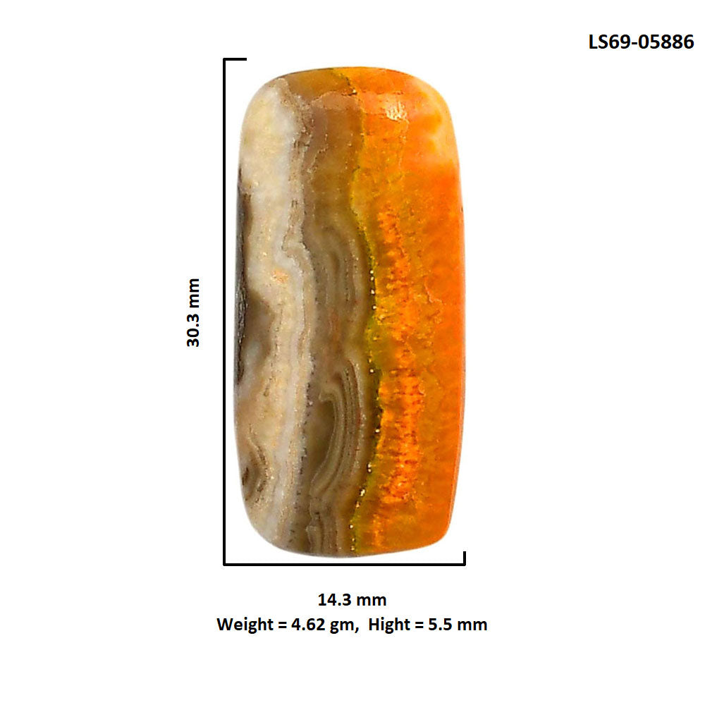 Indonesian Bumble Bee 14.3x30.3x5.5 mm Cushion Shape Polished Gemstone LS69-05886