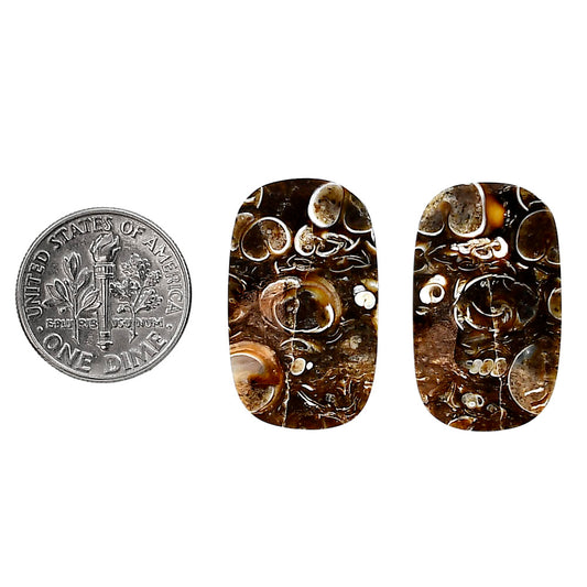 Turtella Jasper Pair 15.3x25.2x4.5 mm Cushion Shape Polished Gemstone LS70-04130