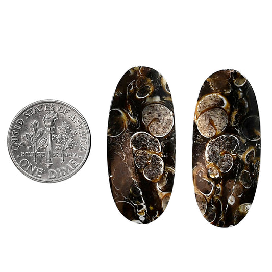 Turtella Jasper Pair 14.6x33.3x5 mm Oval Shape Polished Gemstone LS70-04131