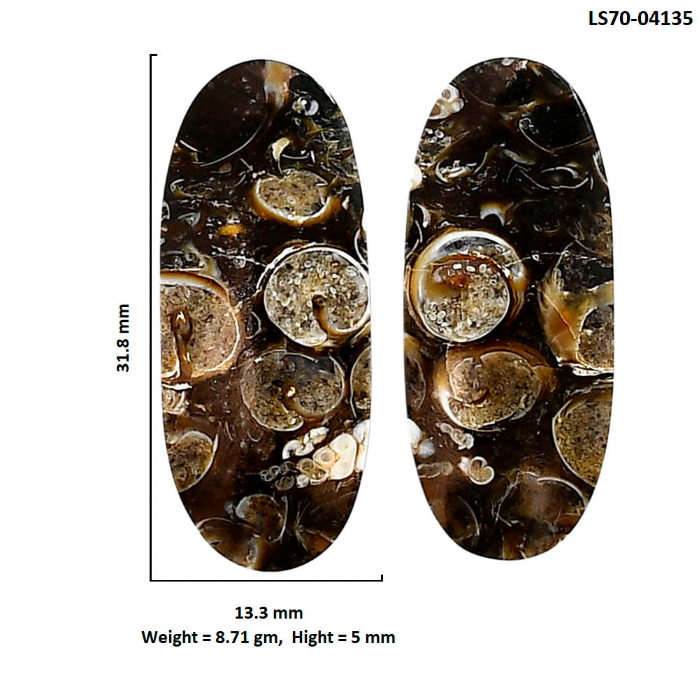 Turtella Jasper Pair 13.3x31.8x5 mm Oval Shape Polished Gemstone LS70-04135