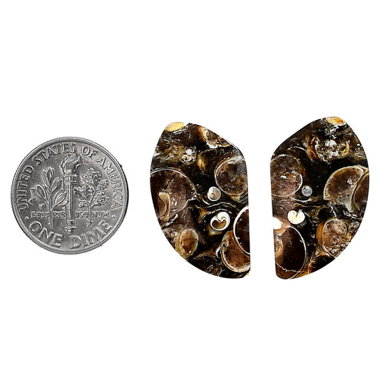 Turtella Jasper Pair 15x25.6x5 mm Fancy Shape Polished Gemstone LS70-04143