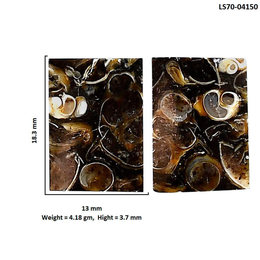 Turtella Jasper Pair 13x18.3x3.7 mm Baguette Shape Polished Gemstone LS70-04150