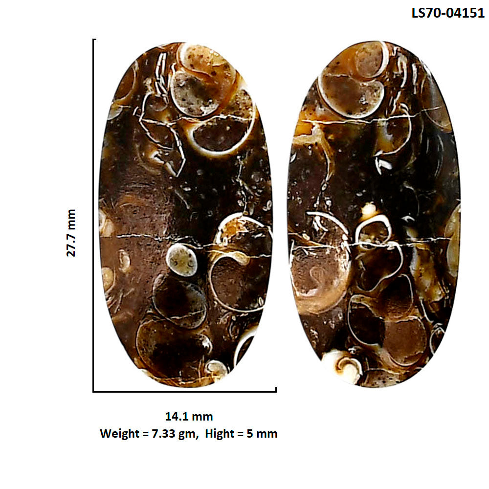 Turtella Jasper Pair 14.1x27.7x5 mm Oval Shape Polished Gemstone LS70-04151