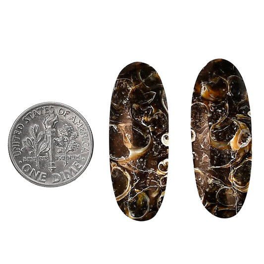 Turtella Jasper Pair 12.6x33.1x4 mm Oval Shape Polished Gemstone LS70-04155