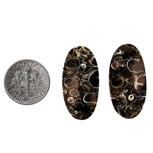 Turtella Jasper Pair 14.5x28.5x4.5 mm Oval Shape Polished Gemstone LS70-04157