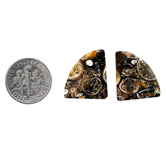 Turtella Jasper Pair 16.6x19x3.5 mm Fancy Shape Polished Gemstone LS70-04163