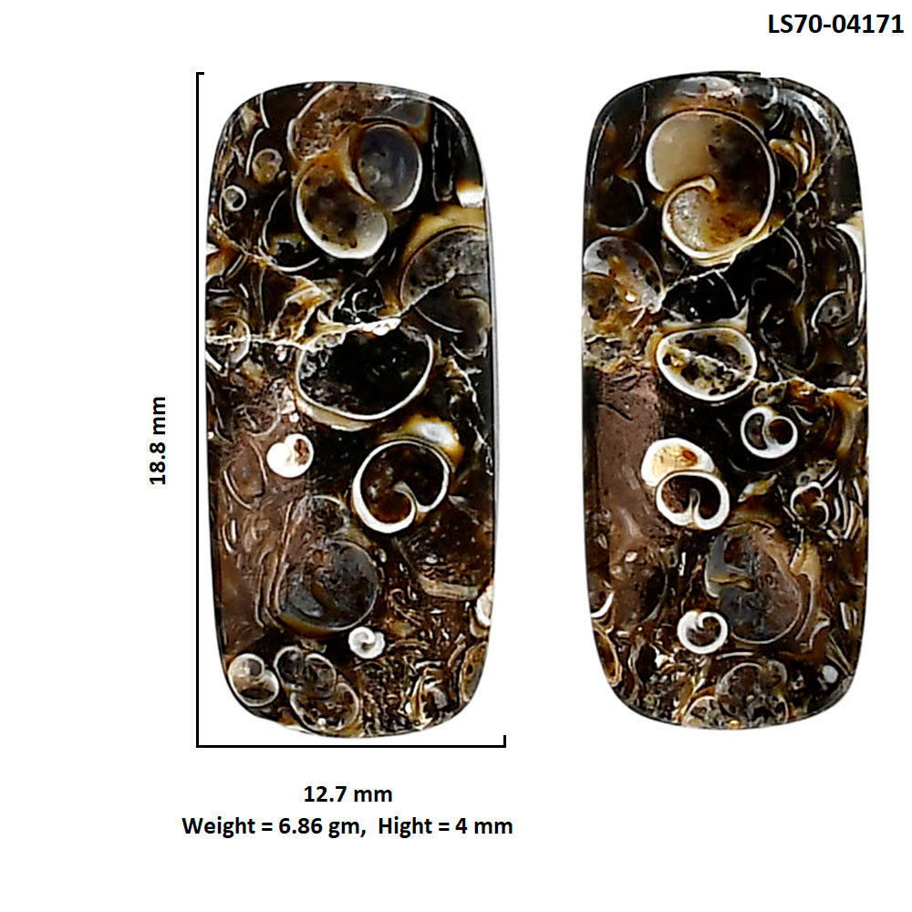 Turtella Jasper Pair 12.7x18.8x4 mm Cushion Shape Polished Gemstone LS70-04171