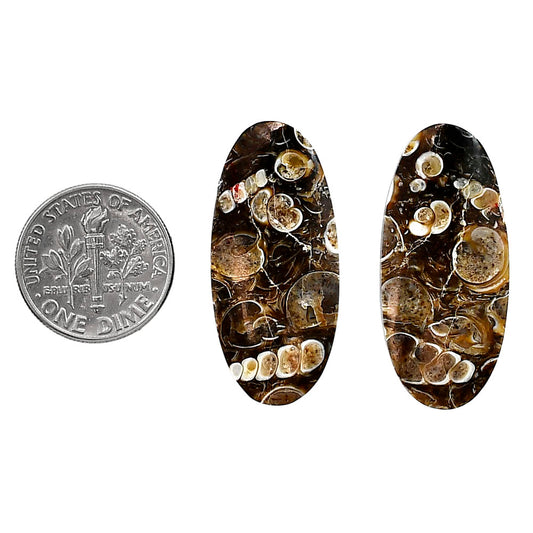 Turtella Jasper Pair 14.5x31.6x5.5 mm Oval Shape Polished Gemstone LS70-04172