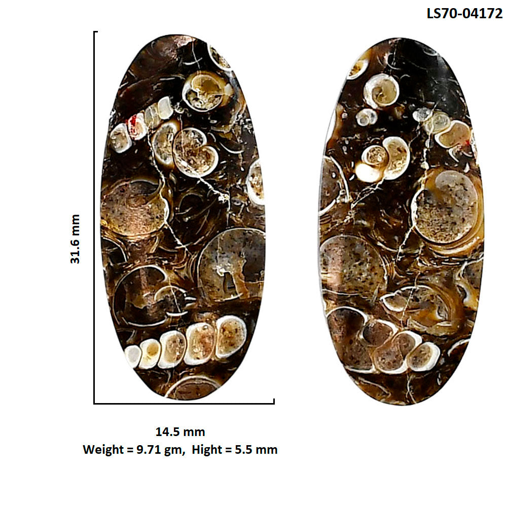 Turtella Jasper Pair 14.5x31.6x5.5 mm Oval Shape Polished Gemstone LS70-04172