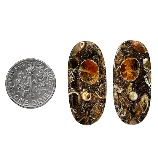 Turtella Jasper Pair 13.3x29.75x4 mm Oval Shape Polished Gemstone LS70-04174