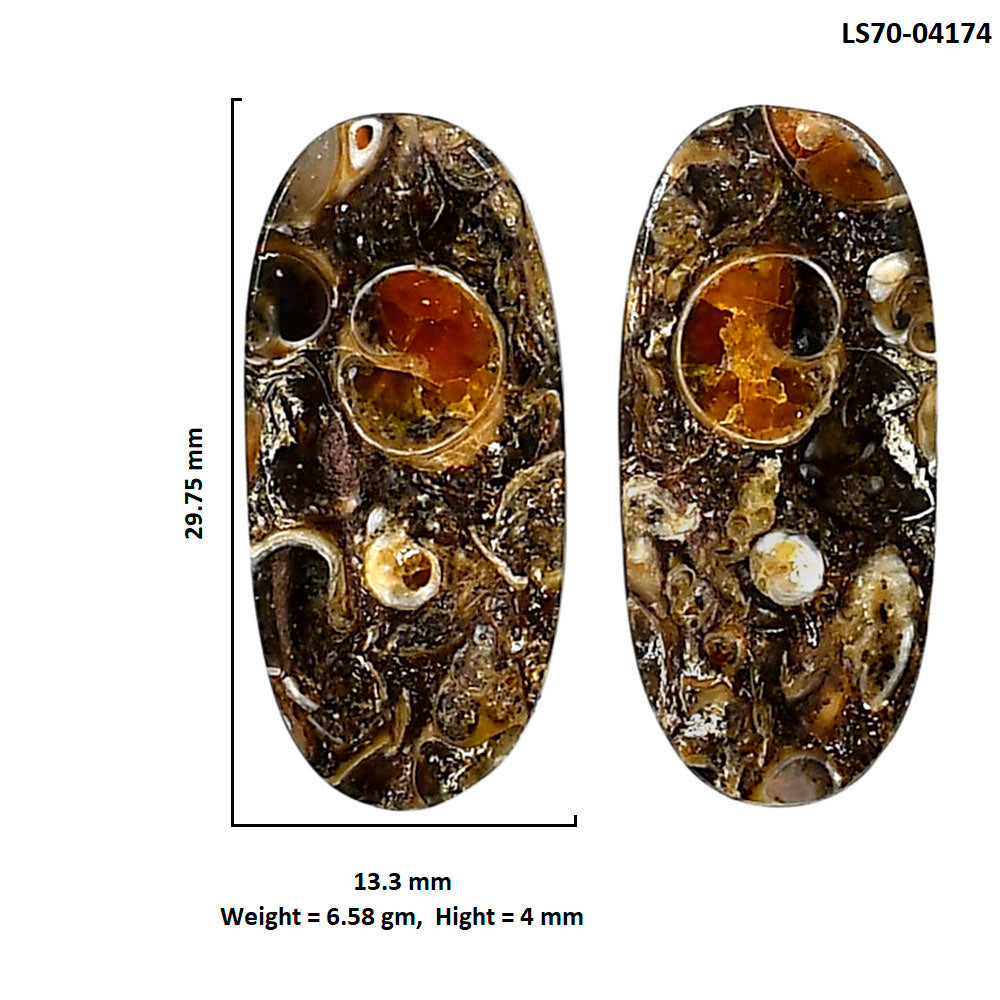 Turtella Jasper Pair 13.3x29.75x4 mm Oval Shape Polished Gemstone LS70-04174