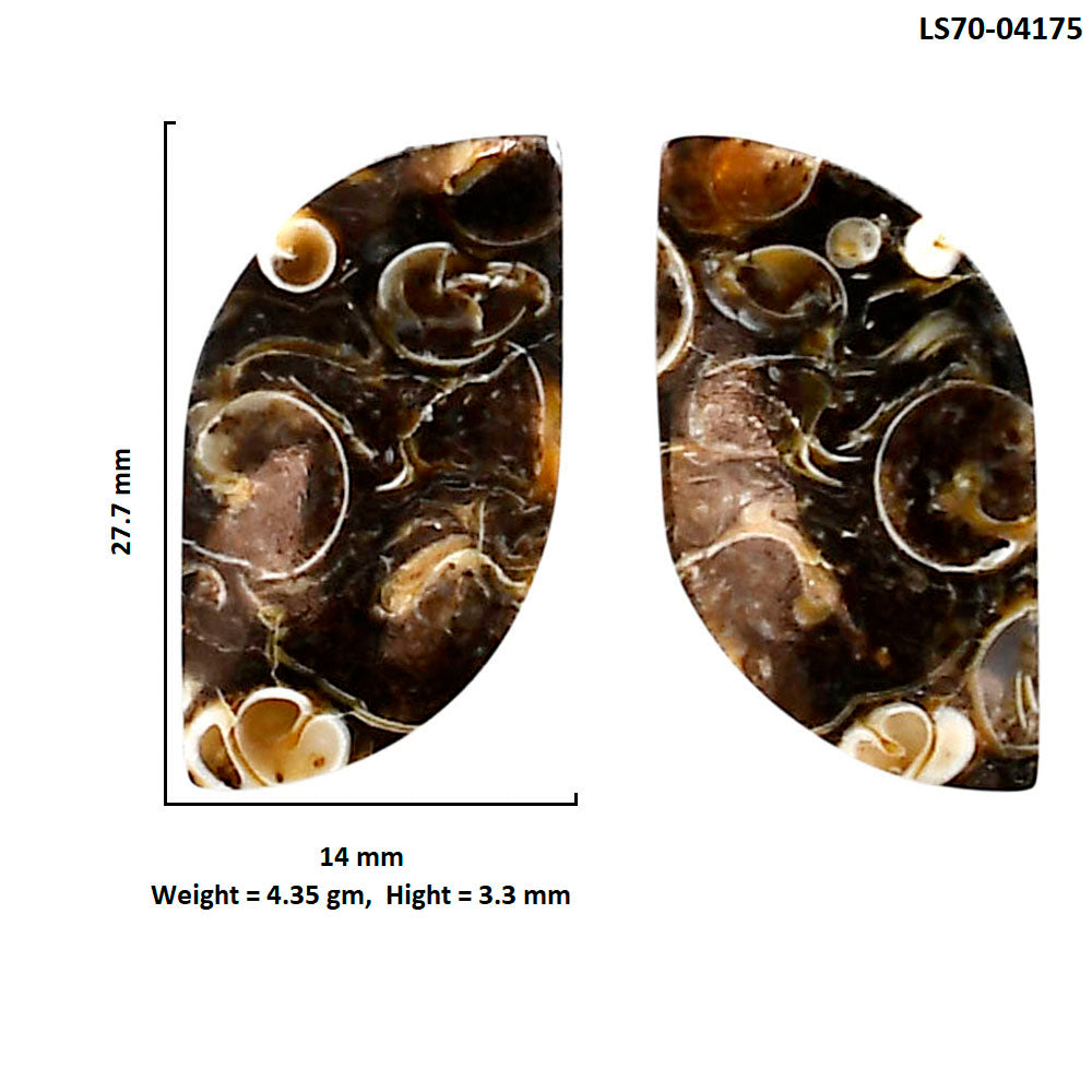 Turtella Jasper Pair 14x27.7x3.3 mm Fancy Shape Polished Gemstone LS70-04175