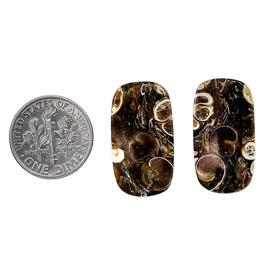 Turtella Jasper Pair 13.3x24.4x4 mm Cushion Shape Polished Gemstone LS70-04176