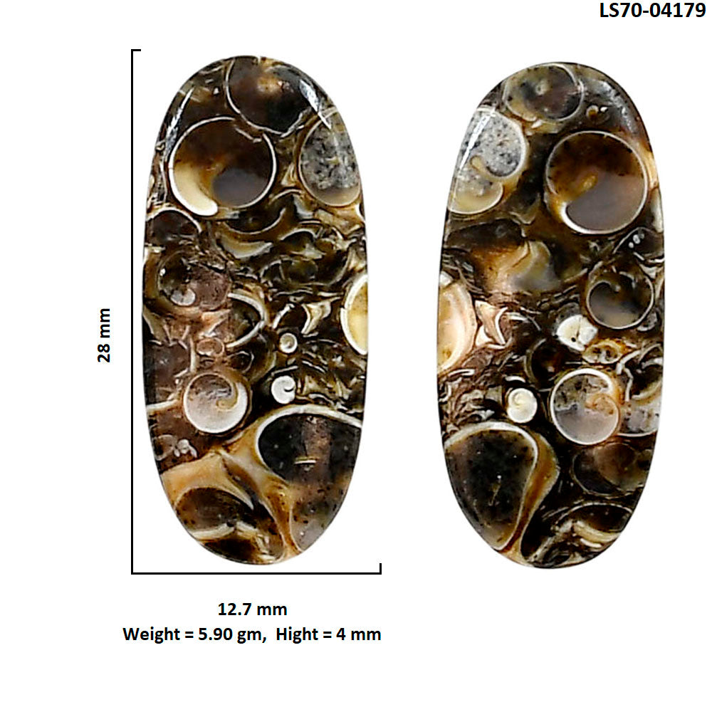 Turtella Jasper Pair 12.7x28x4 mm Oval Shape Polished Gemstone LS70-04179