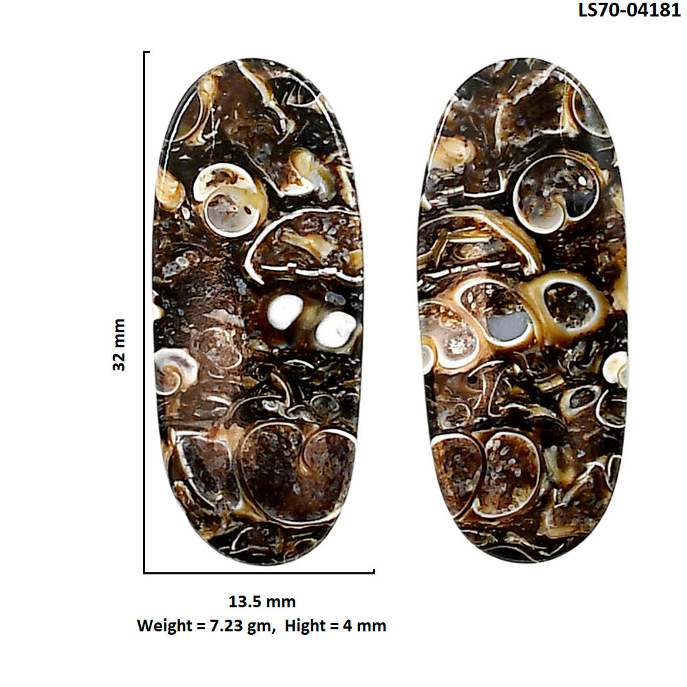 Turtella Jasper Pair 13.5x32x4 mm Oval Shape Polished Gemstone LS70-04181