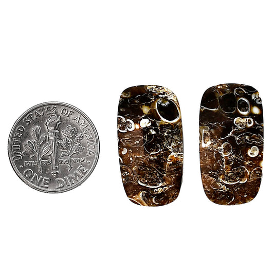 Turtella Jasper Pair 13.7x23.6x3.5 mm Cushion Shape Polished Gemstone LS70-04182