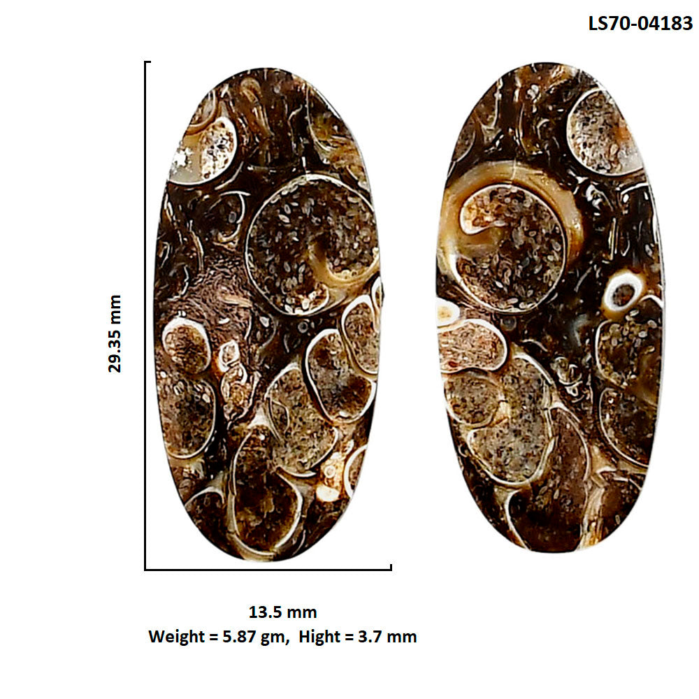 Turtella Jasper Pair 13.5x29.35x3.7 mm Oval Shape Polished Gemstone LS70-04183