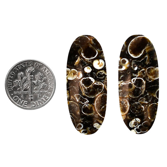 Turtella Jasper Pair 14.5x34.8x4 mm Oval Shape Polished Gemstone LS70-04184