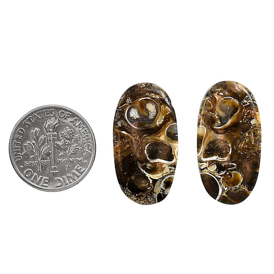 Turtella Jasper Pair 13.3x25.2x4 mm Oval Shape Polished Gemstone LS70-04186