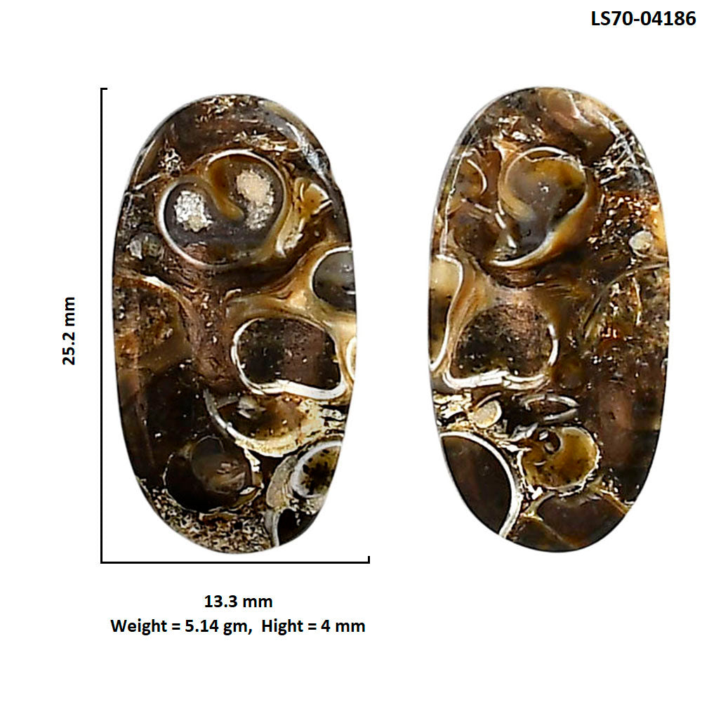 Turtella Jasper Pair 13.3x25.2x4 mm Oval Shape Polished Gemstone LS70-04186