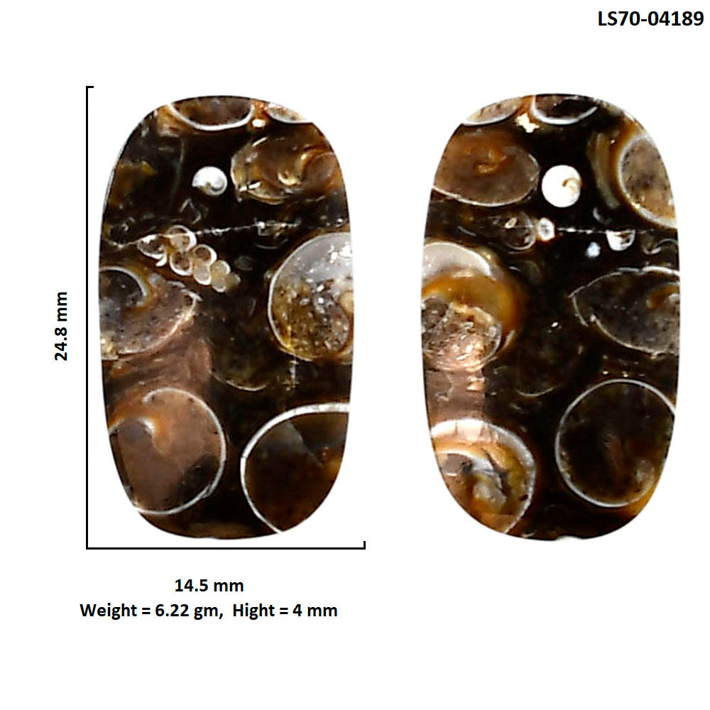 Turtella Jasper Pair 14.5x24.8x4 mm Cushion Shape Polished Gemstone LS70-04189