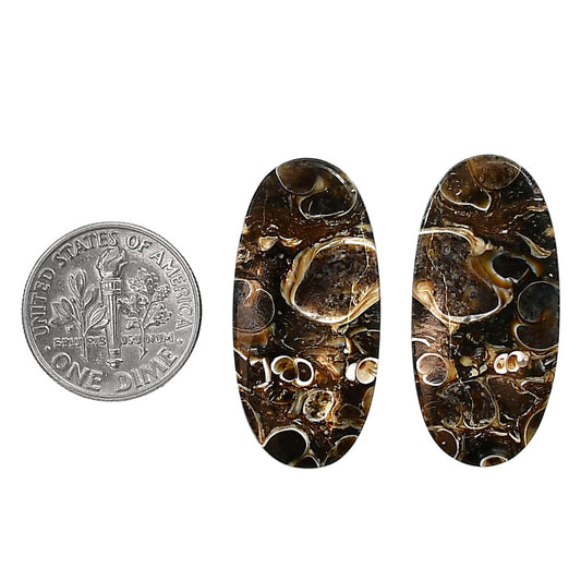 Turtella Jasper Pair 14.8x30.7x3.7 mm Oval Shape Polished Gemstone LS70-04190
