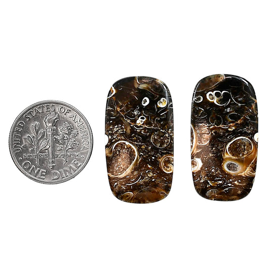 Turtella Jasper Pair 14.5x26.9x3.7 mm Cushion Shape Polished Gemstone LS70-04194