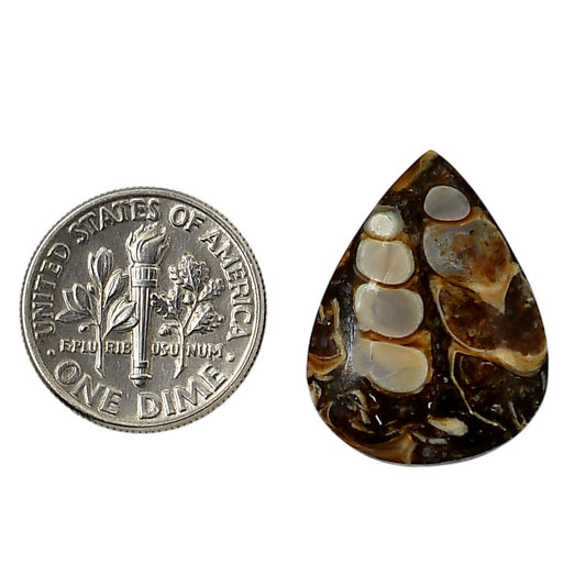 Turtella Jasper 17.4x23x4.5 mm Pear Shape Polished Gemstone LS70-05776