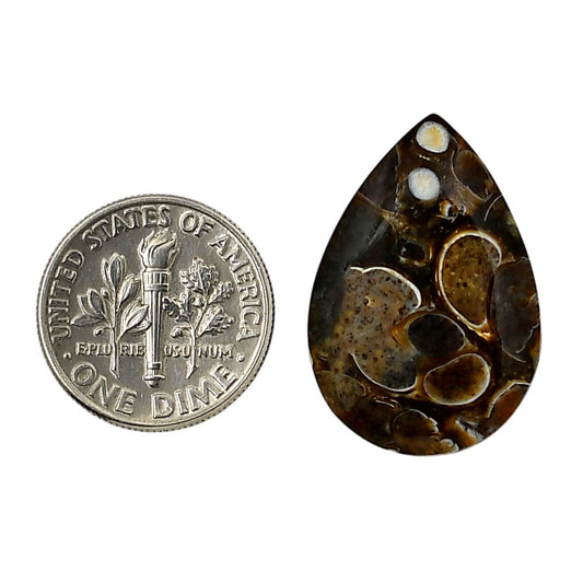 Turtella Jasper 17.5x25.7x3.3 mm Pear Shape Polished Gemstone LS70-05779