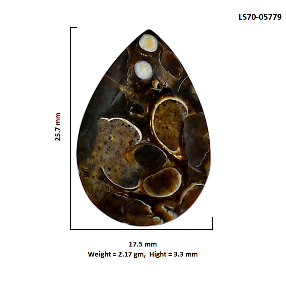 Turtella Jasper 17.5x25.7x3.3 mm Pear Shape Polished Gemstone LS70-05779