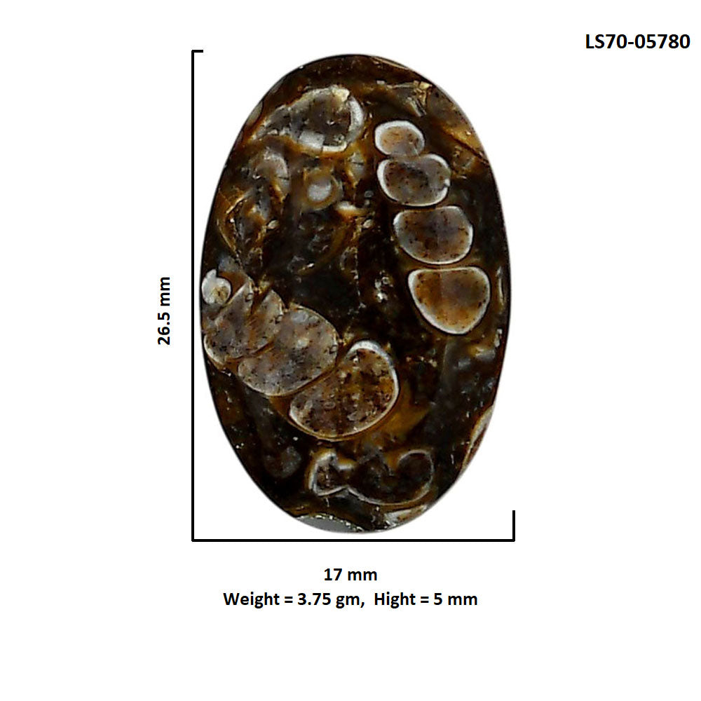 Turtella Jasper 17x26.5x5 mm Oval Shape Polished Gemstone LS70-05780