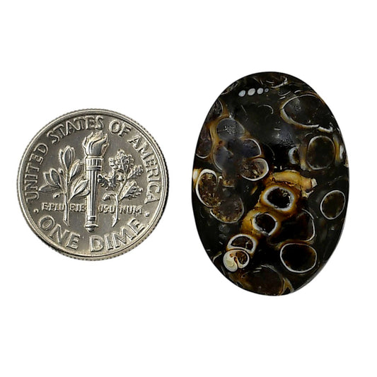 Turtella Jasper 18.5x26.1x6 mm Oval Shape Polished Gemstone LS70-05781