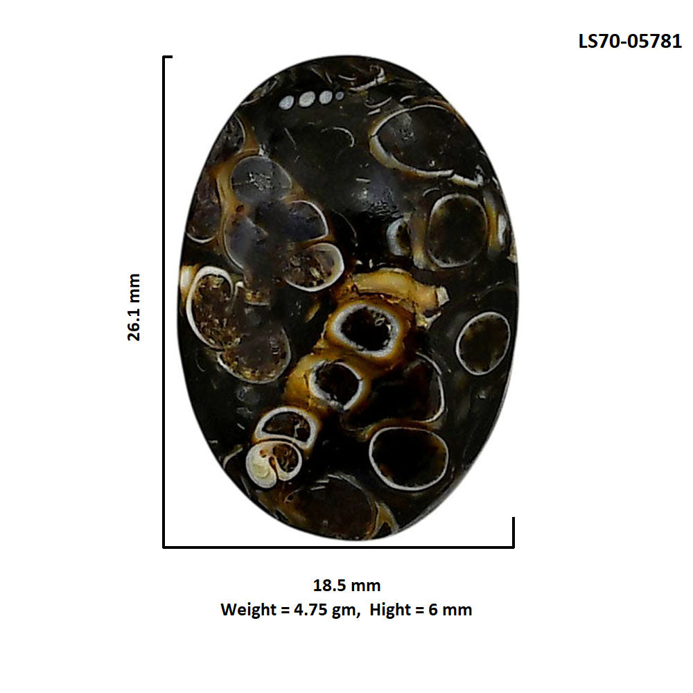 Turtella Jasper 18.5x26.1x6 mm Oval Shape Polished Gemstone LS70-05781