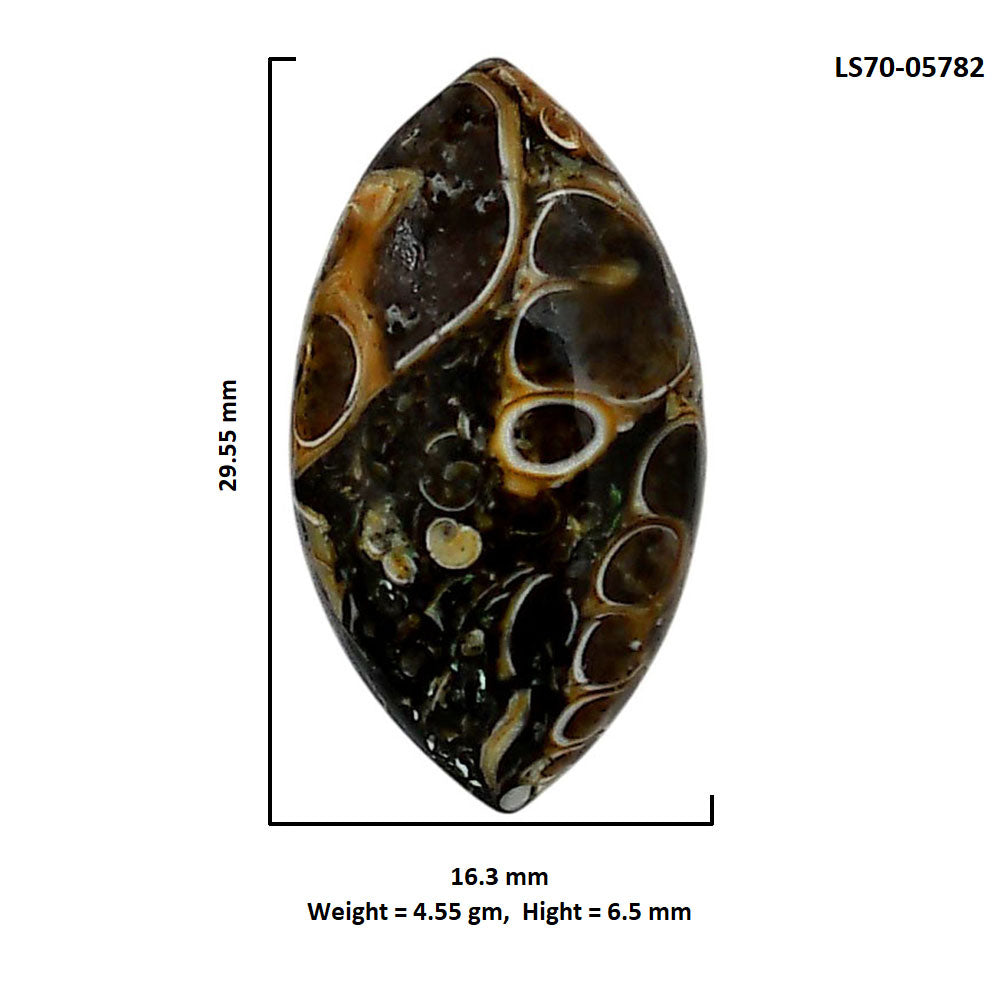 Turtella Jasper 16.3x29.55x6.5 mm Marquise Shape Polished Gemstone LS70-05782