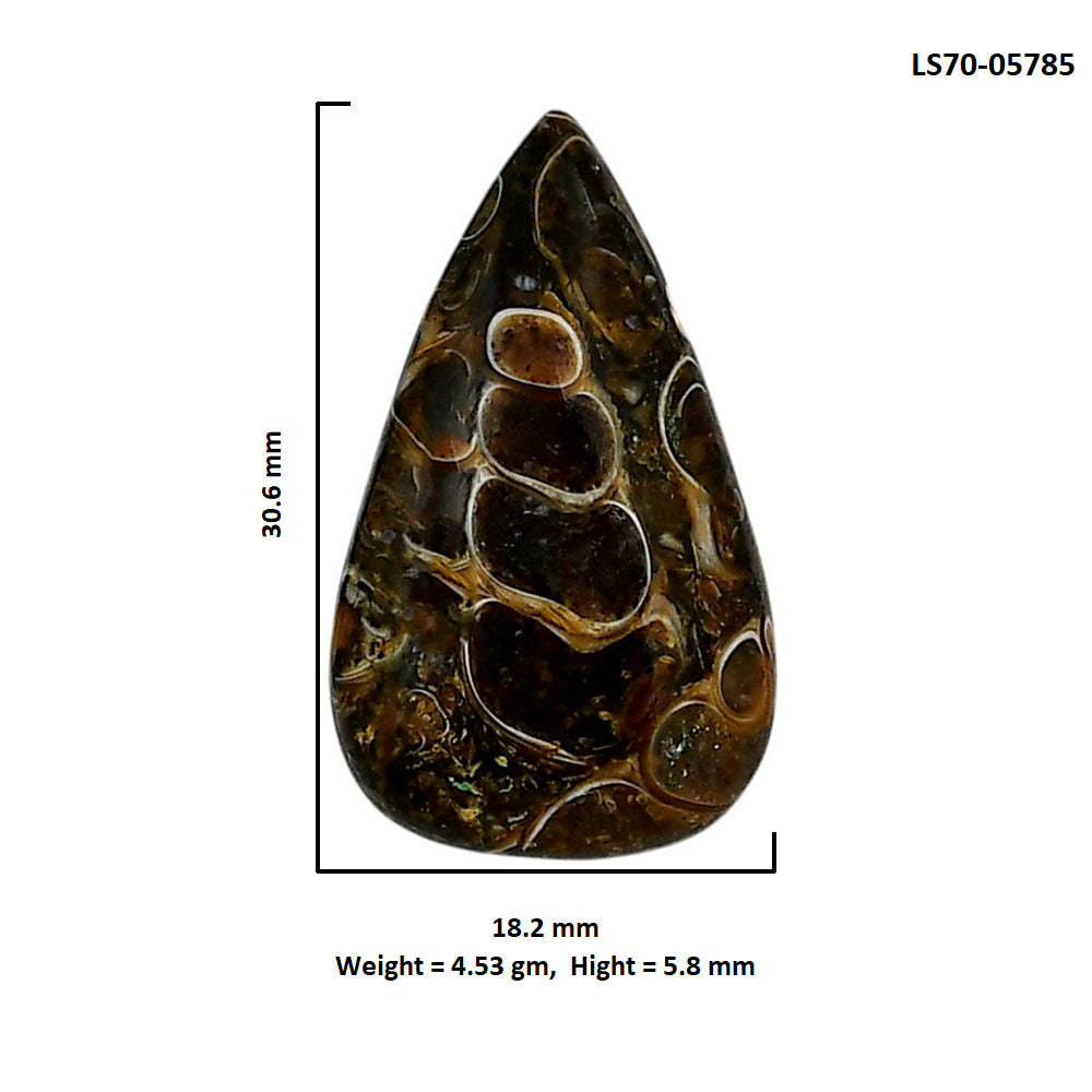 Turtella Jasper 18.2x30.6x5.8 mm Pear Shape Polished Gemstone LS70-05785