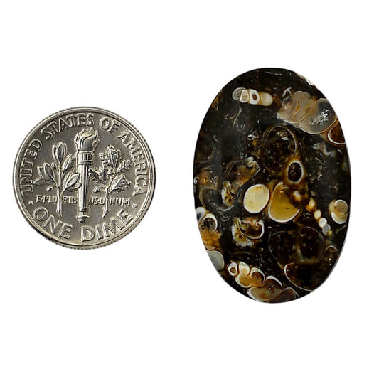 Turtella Jasper 19.6x29.25x5 mm Oval Shape Polished Gemstone LS70-05786