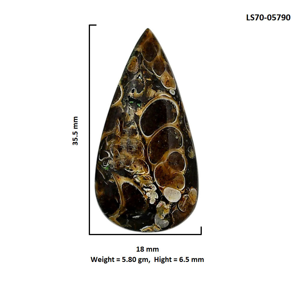 Turtella Jasper 18x35.5x6.5 mm Pear Shape Polished Gemstone LS70-05790