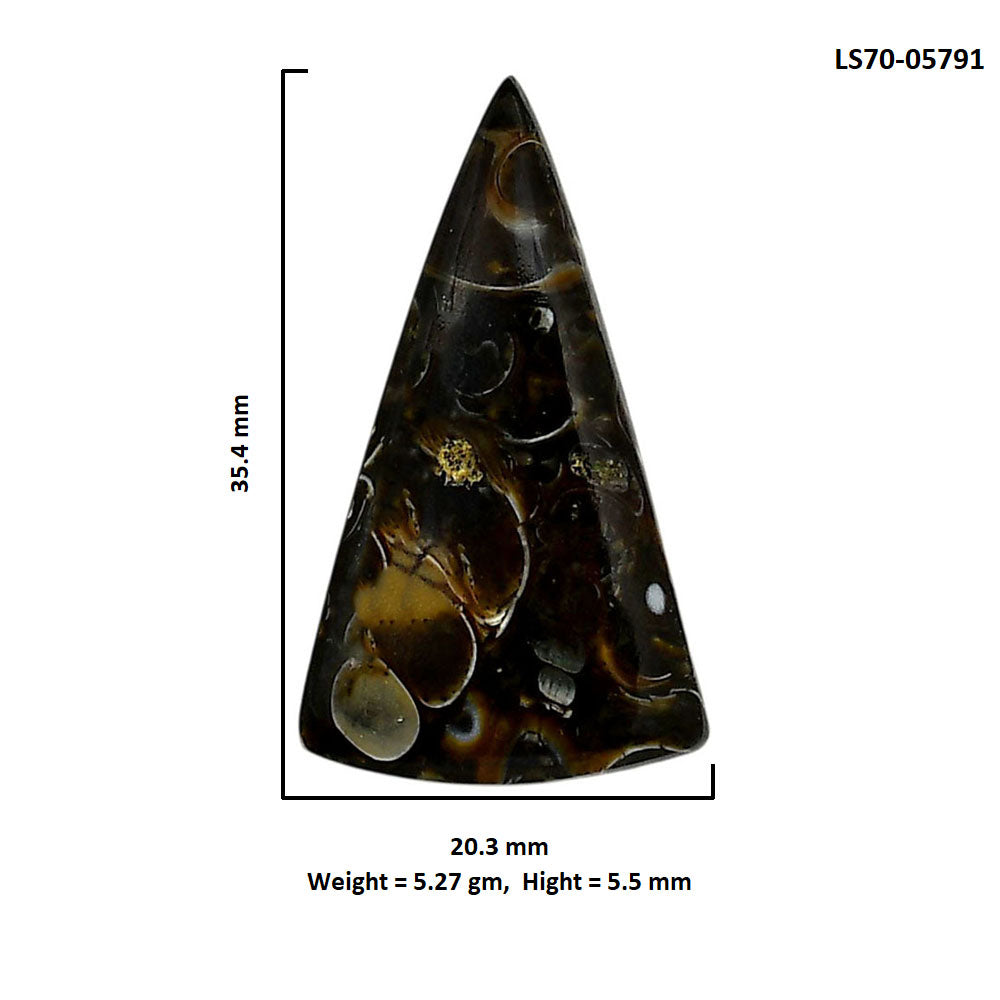 Turtella Jasper 20.3x35.4x5.5 mm Fancy Shape Polished Gemstone LS70-05791