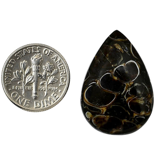 Turtella Jasper 19x27.45x5.5 mm Pear Shape Polished Gemstone LS70-05792