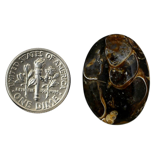 Turtella Jasper 18.5x25x6 mm Oval Shape Polished Gemstone LS70-05795
