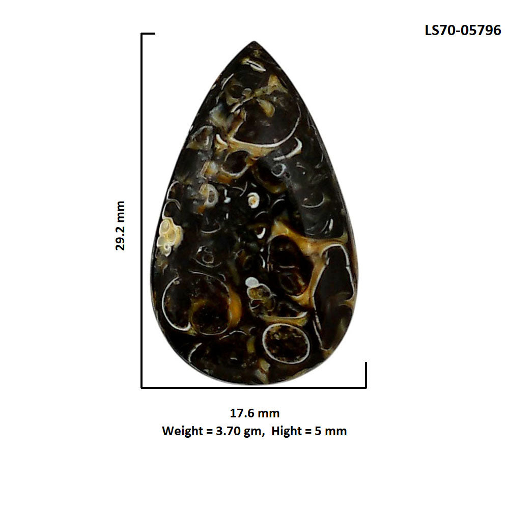 Turtella Jasper 17.6x29.2x5 mm Pear Shape Polished Gemstone LS70-05796
