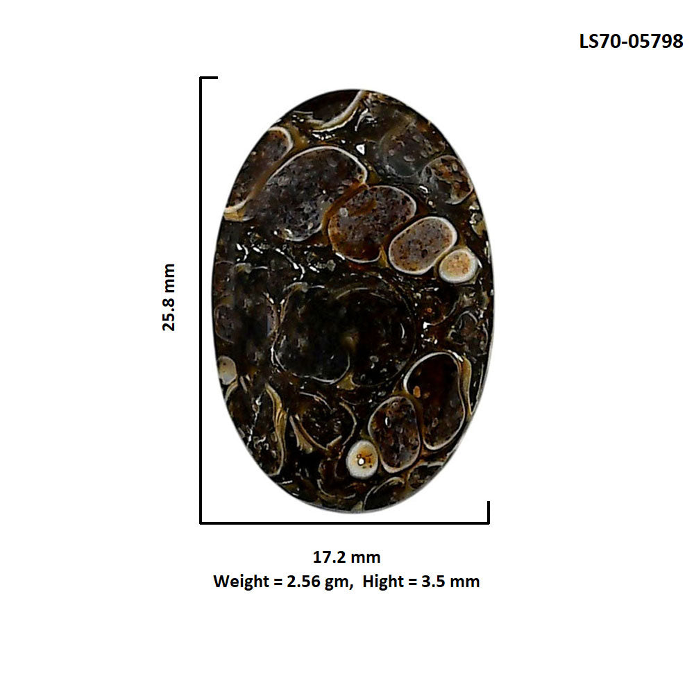 Turtella Jasper 17.2x25.8x3.5 mm Oval Shape Polished Gemstone LS70-05798