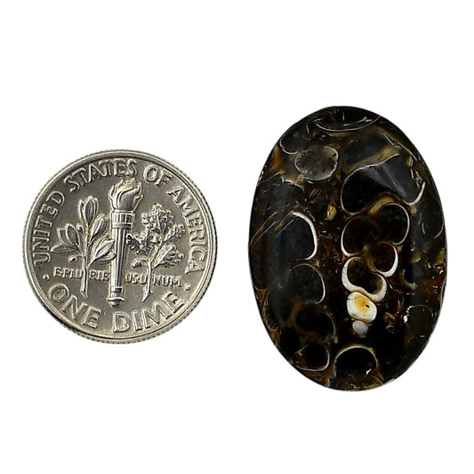 Turtella Jasper 18.2x26.25x4 mm Oval Shape Polished Gemstone LS70-05799
