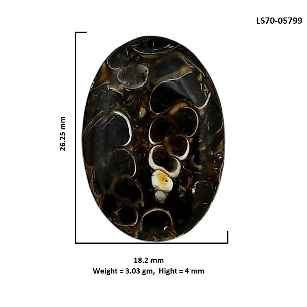 Turtella Jasper 18.2x26.25x4 mm Oval Shape Polished Gemstone LS70-05799