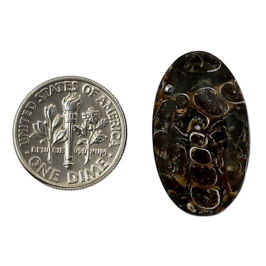 Turtella Jasper 15.2x25.7x5.3 mm Oval Shape Polished Gemstone LS70-05802