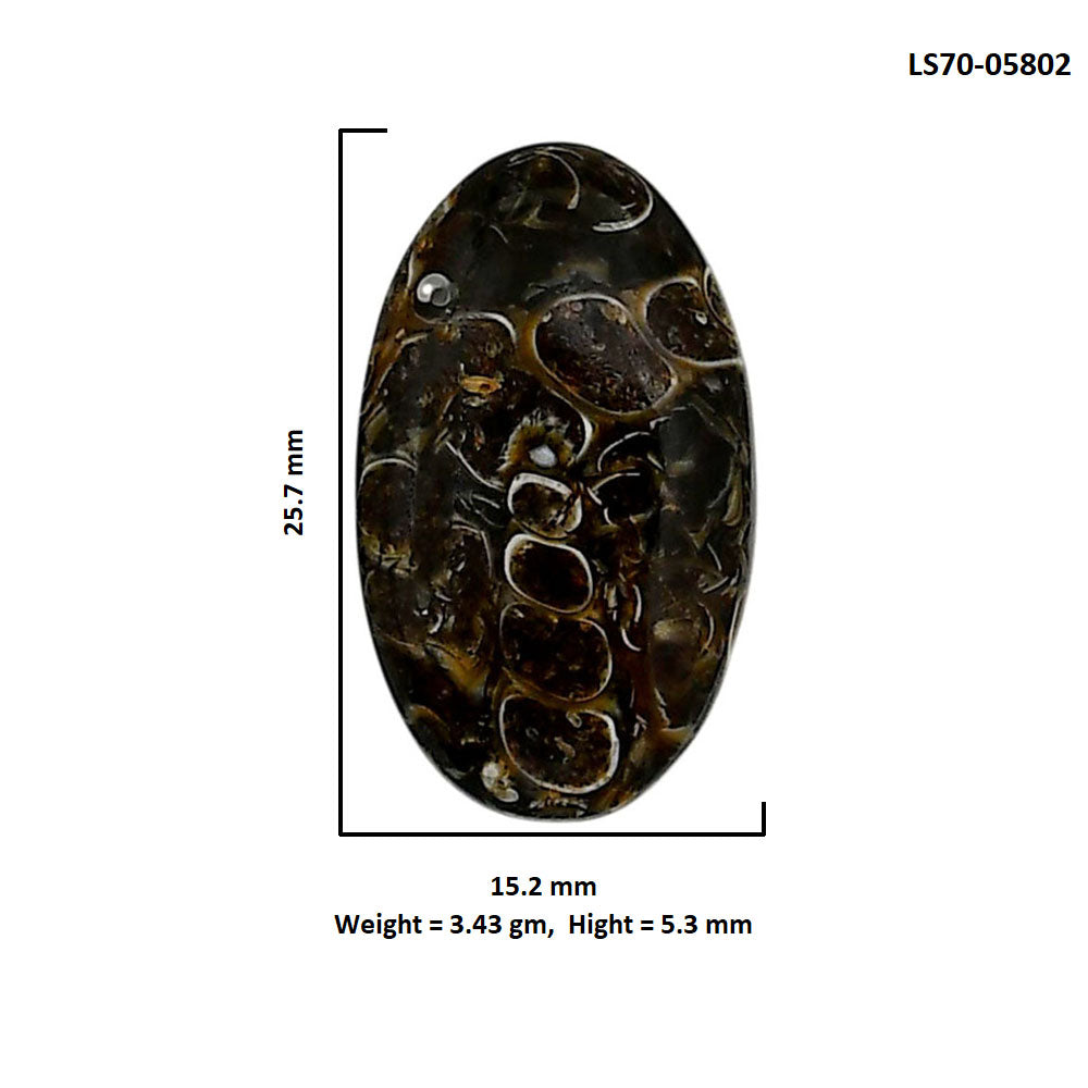 Turtella Jasper 15.2x25.7x5.3 mm Oval Shape Polished Gemstone LS70-05802