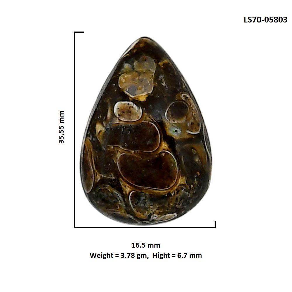 Turtella Jasper 16.5x35.55x6.7 mm Pear Shape Polished Gemstone LS70-05803